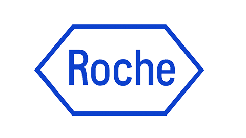 rocha